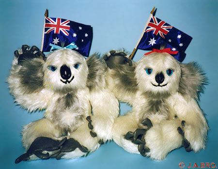 Baby-koala pair